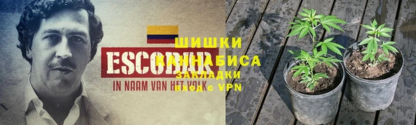 ALPHA PVP Богородск
