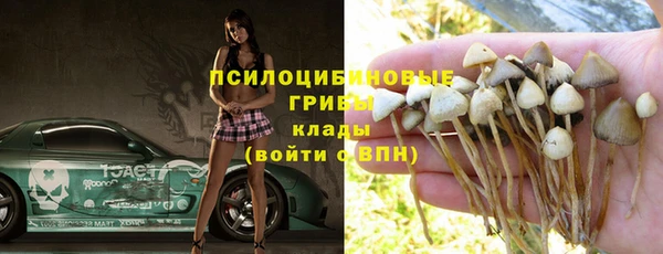 ALPHA PVP Богородск