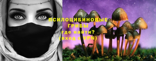 МДПВ Богданович