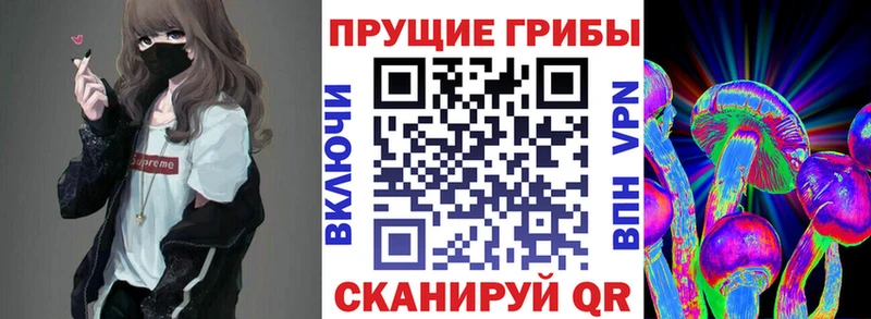 блэк спрут зеркало  как найти закладки  Щёкино  Псилоцибиновые грибы GOLDEN TEACHER 